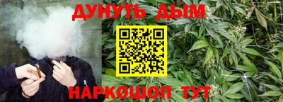 прущая мука Новодвинск