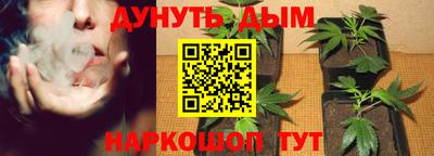 прущая мука Новодвинск