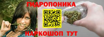 гашиш Новокубанск