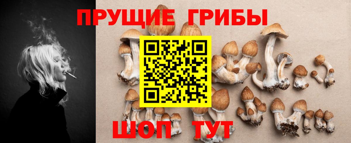 Псилоцибиновые грибы мицелий Буйнакск